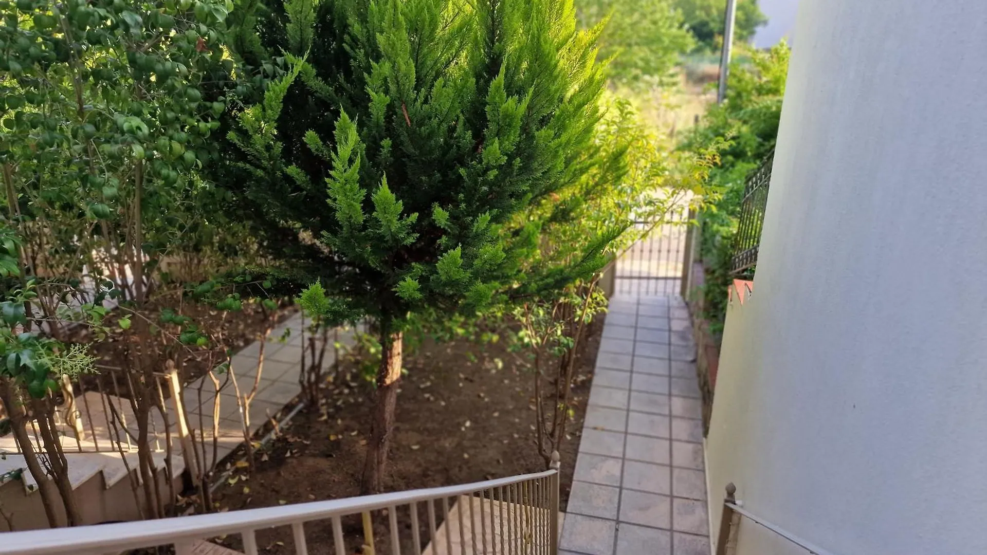 Mihalis Apartment Nikiti  0*, Nikiti (Sithonia) Greece